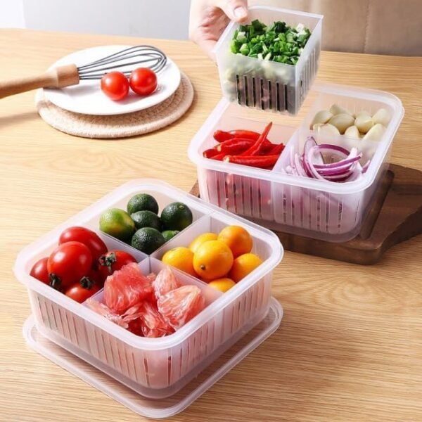 4-compartment storage box